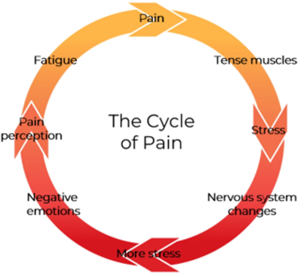 Cycle of Pain and Mental Health Connection